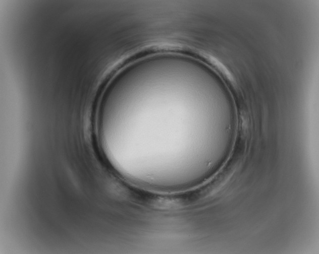 X0000113760487200910071135