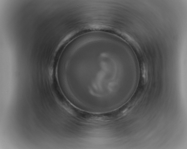 X0000113760488200910071135