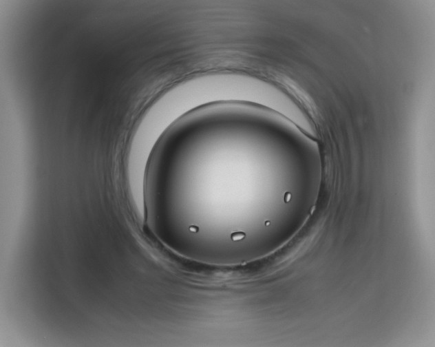 X0000113760493200910071134