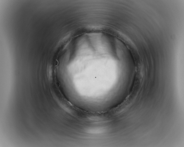 X0000113760494200910071134