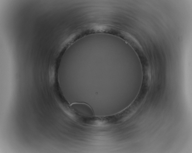 X0000113760496200910071134
