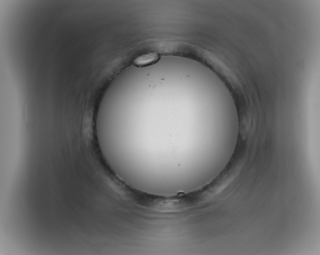 X0000113760497200910071134