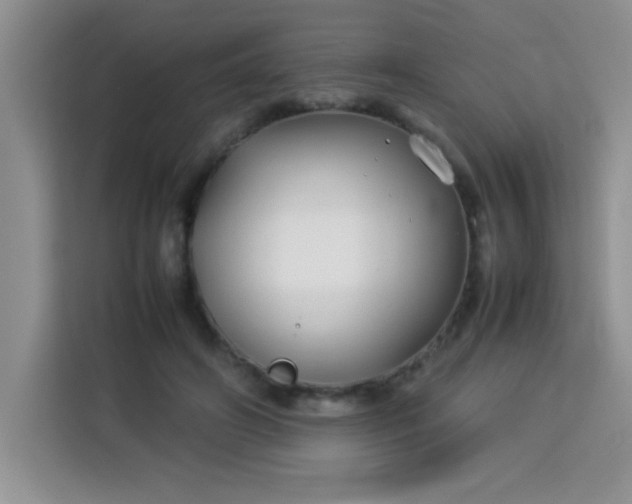 X0000113760498200910071134