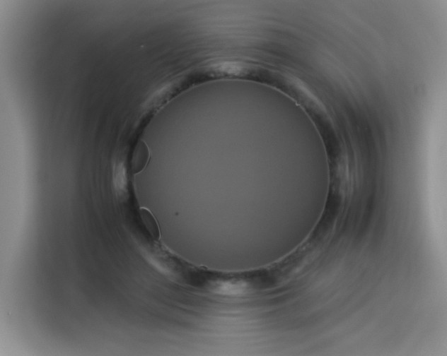 X0000113760500200910071134