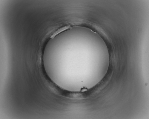 X0000113760501200910071134