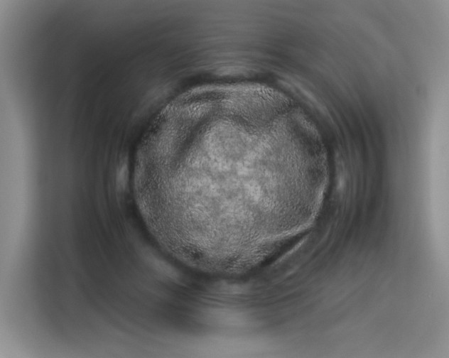 X0000113760502200910071134