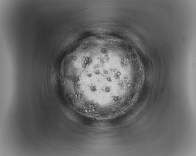 X0000113760503200910071134