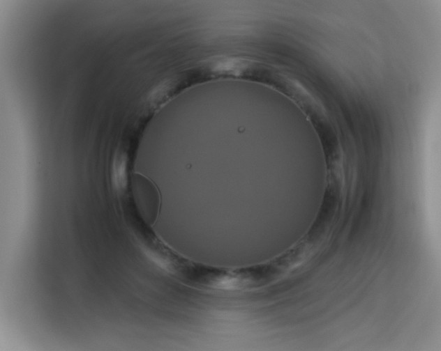 X0000113760504200910071134