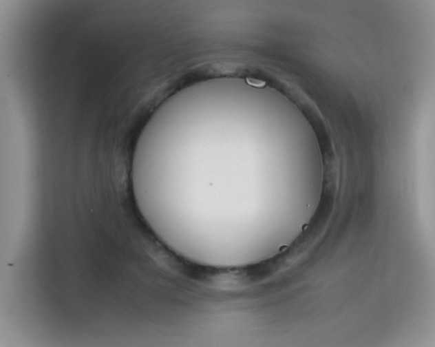 X0000113760505200910071134