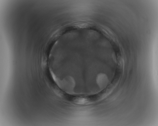 X0000113760507200910071134