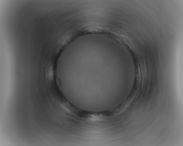 X0000113760508200910071134