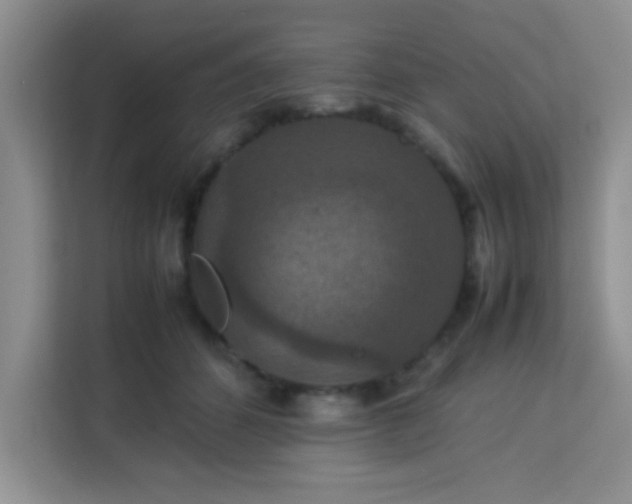 X0000113760512200910071134