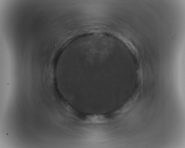 X0000113760517200910071134