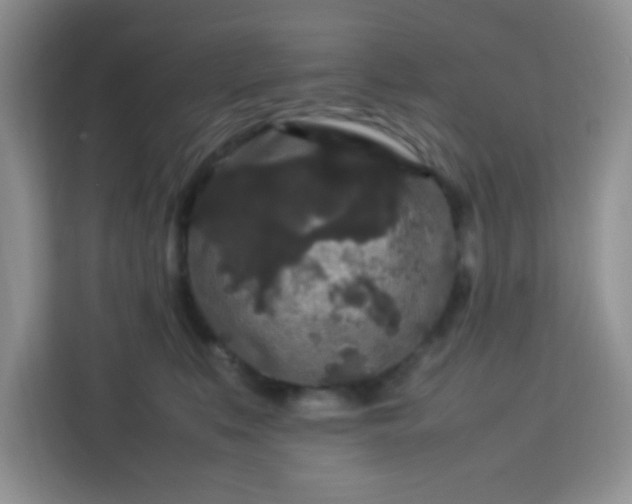 X0000113760519200910071134