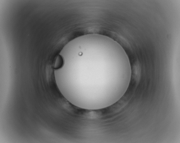 X0000113760522200910071134