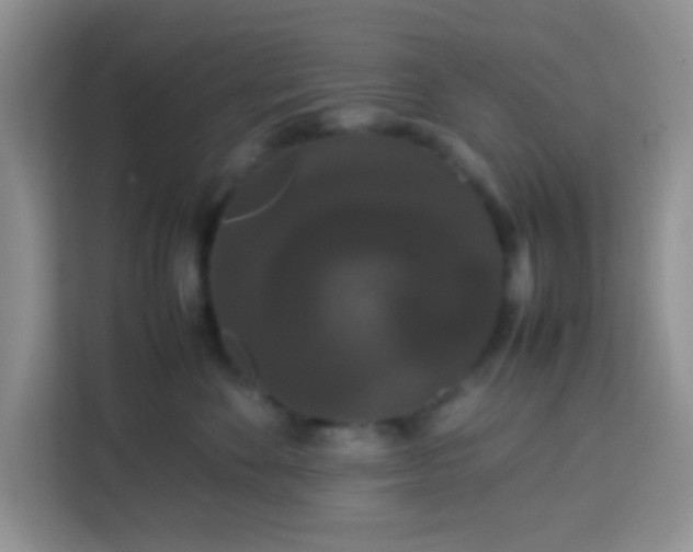 X0000113760524200910071134