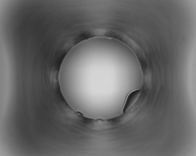 X0000113760525200910071134