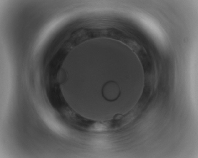 X0000113760526200910071134