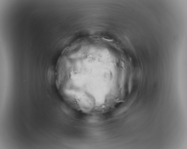 X0000113760527200910071134