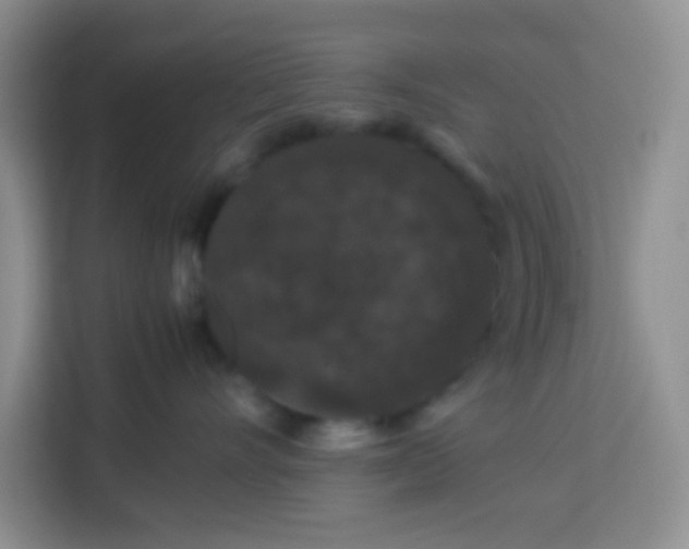 X0000113760528200910071134