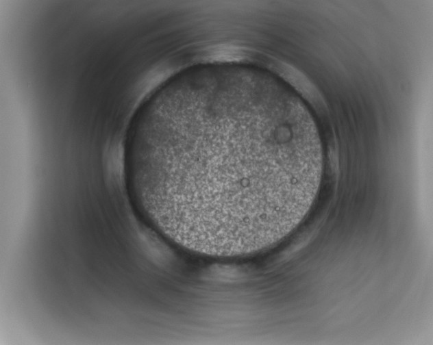 X0000113760534200910071133