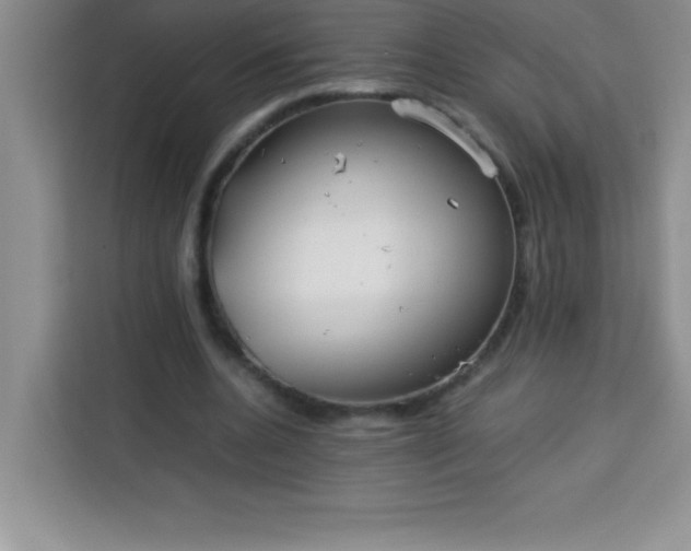 X0000113760536200910071133