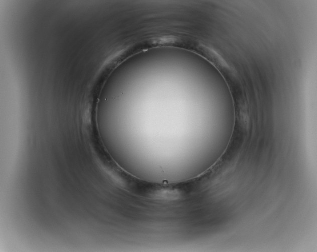 X0000113760543200910071133