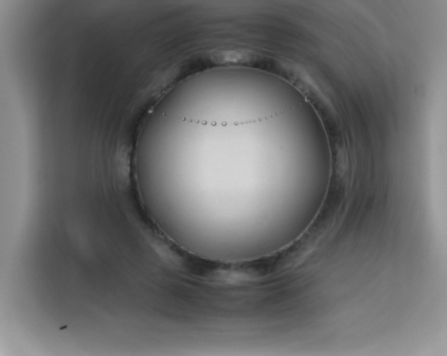 X0000113760545200910071133