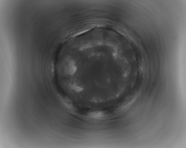 X0000113760551200910071134