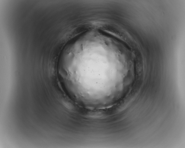 X0000113760553200910071134