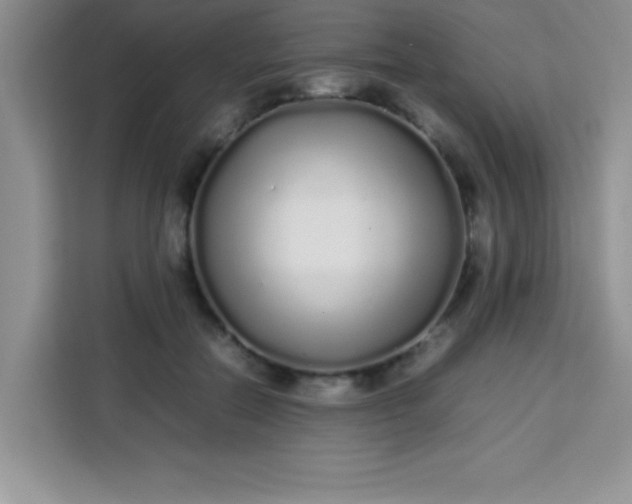 X0000113760554200910071134
