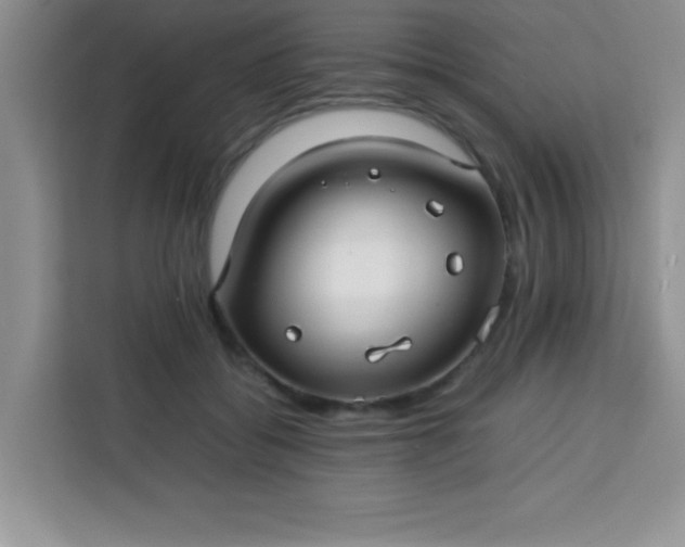X0000113760556200910071134