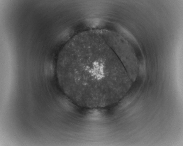 X0000113760558200910071134
