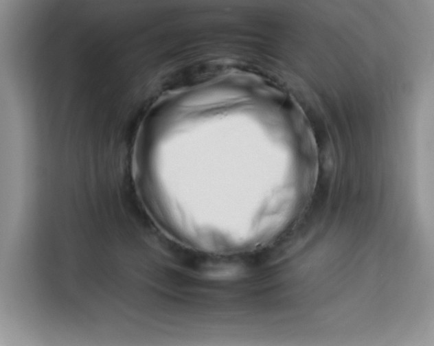 X0000113760559200910071134