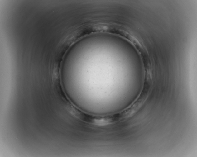 X0000113760561200910071134