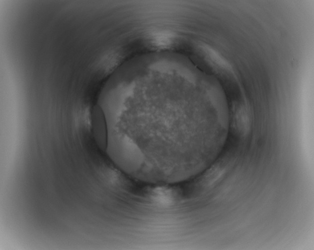 X0000113760562200910071134