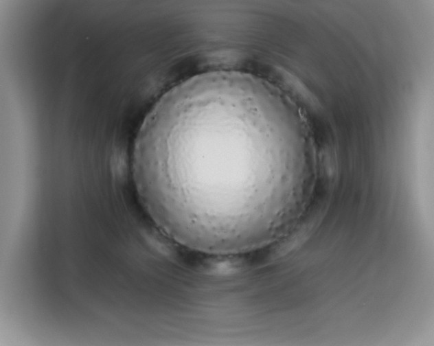 X0000113760564200910071134