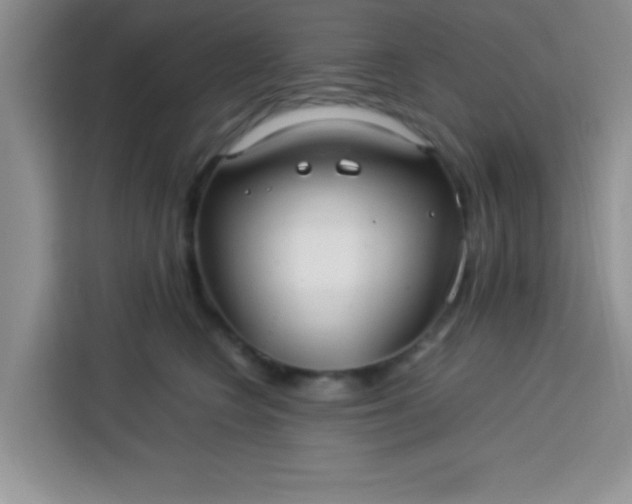 X0000113760566200910071134