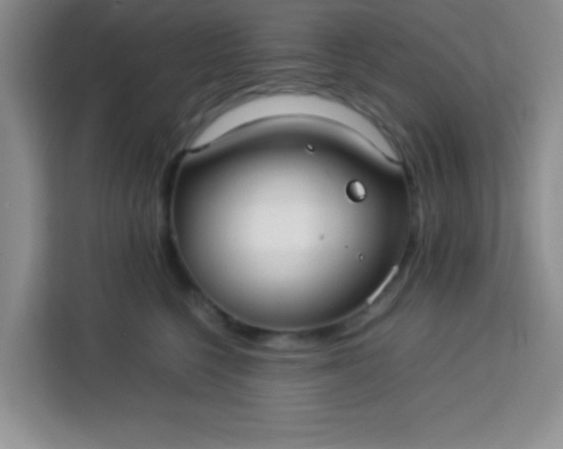 X0000113760568200910071134