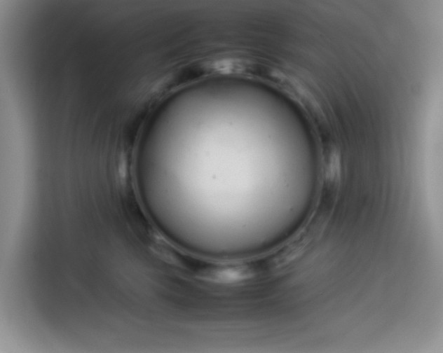 X0000113760569200910071134