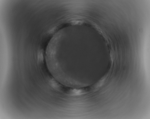 X0000113760570200910071134