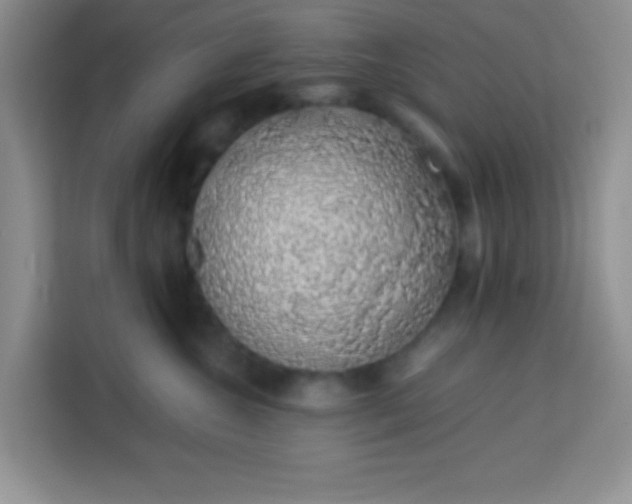 X0000113760572200910071134