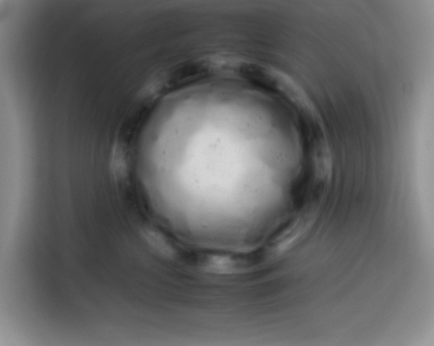 X0000113760573200910071134