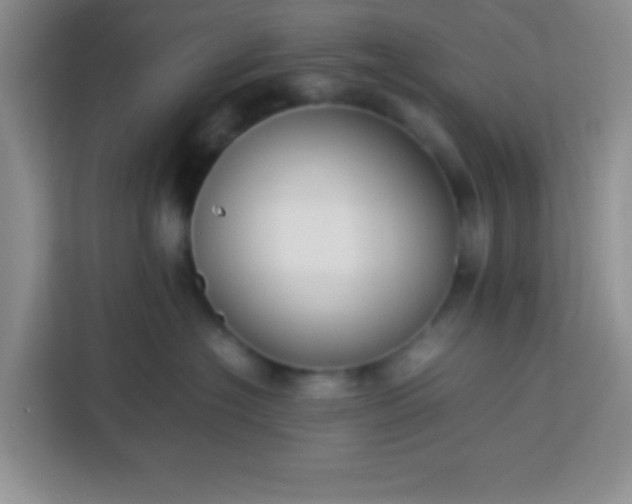 X0000113760574200910071134