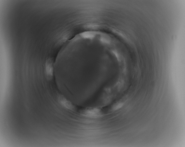 X0000113760576200910071134