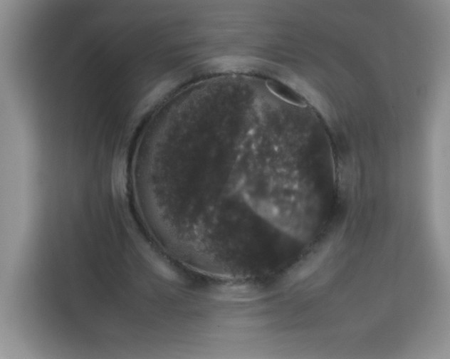 X0000113760581200910071133