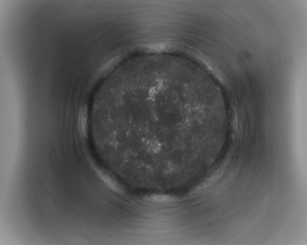 X0000113760590200910071133