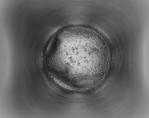 X0000113760592200910071133