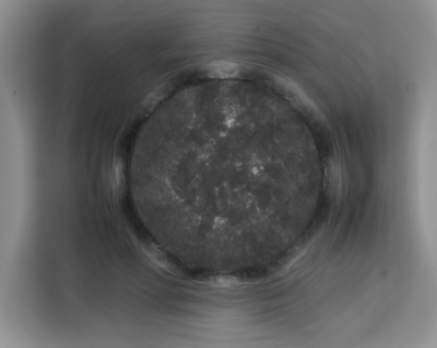X0000113760598200910071133