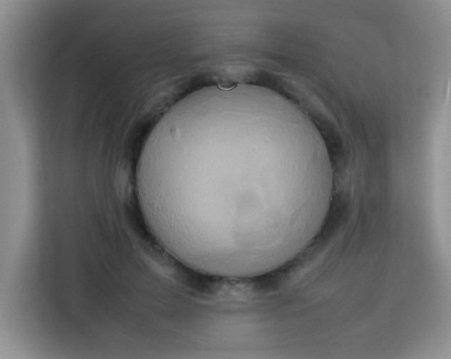 X0000113760599200910071133